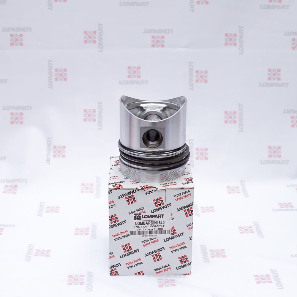 PİSTON+SEGMAN (640)-(1,00)-(LOMPART)