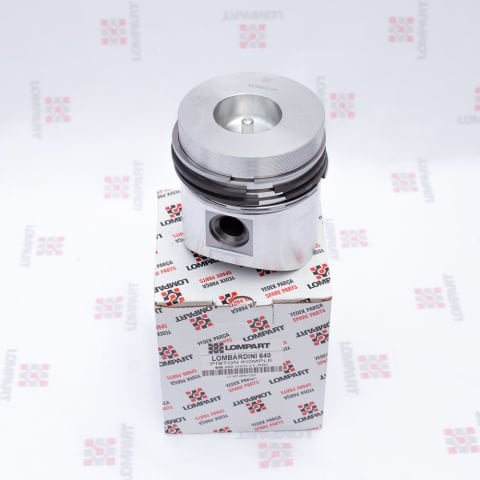 PİSTON+SEGMAN (640)-(1,00)-(LOMPART)