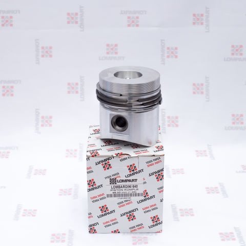 PİSTON+SEGMAN (640)-(1,00)-(LOMPART)