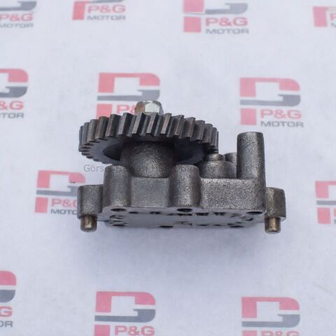 YAĞ POMPASI KOMPLE (Tahrik Dişlili)-(PGEZ-108)