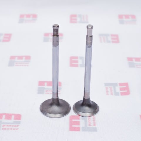 SUPAP TAKIMI (EMME+EGSOZ) (1,00) (PG89)