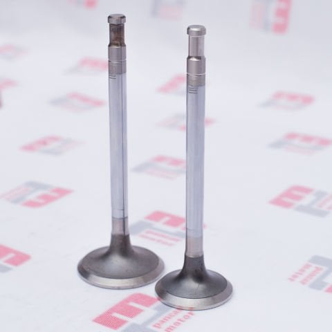 SUPAP TAKIMI (EMME+EGSOZ) (1,00) (PG89)