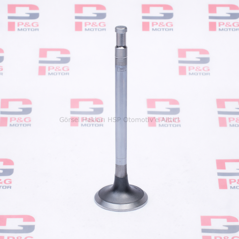 SUPAP TAKIMI (EMME+EGSOZ) (1,00) (PG89)