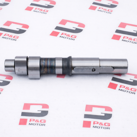 EKSANTRİK MİLİ (PG80/89)