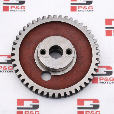 EKSANTRİK DİŞLİSİ  (PG80/89)