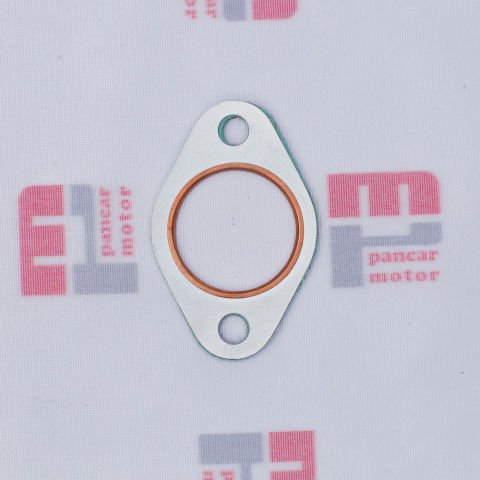 EKSOZ CONTASI (BAKIRLI) PG89