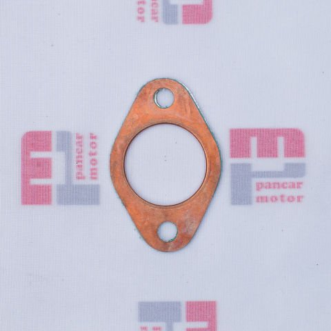 EKSOZ CONTASI (BAKIRLI) PG89