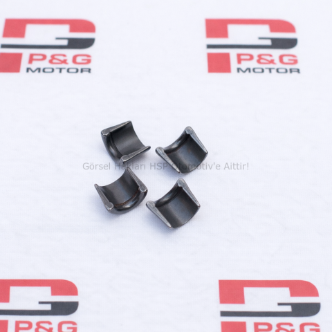 SUPAP (TIRNAĞI) ÇEKİRDEĞİ (108)