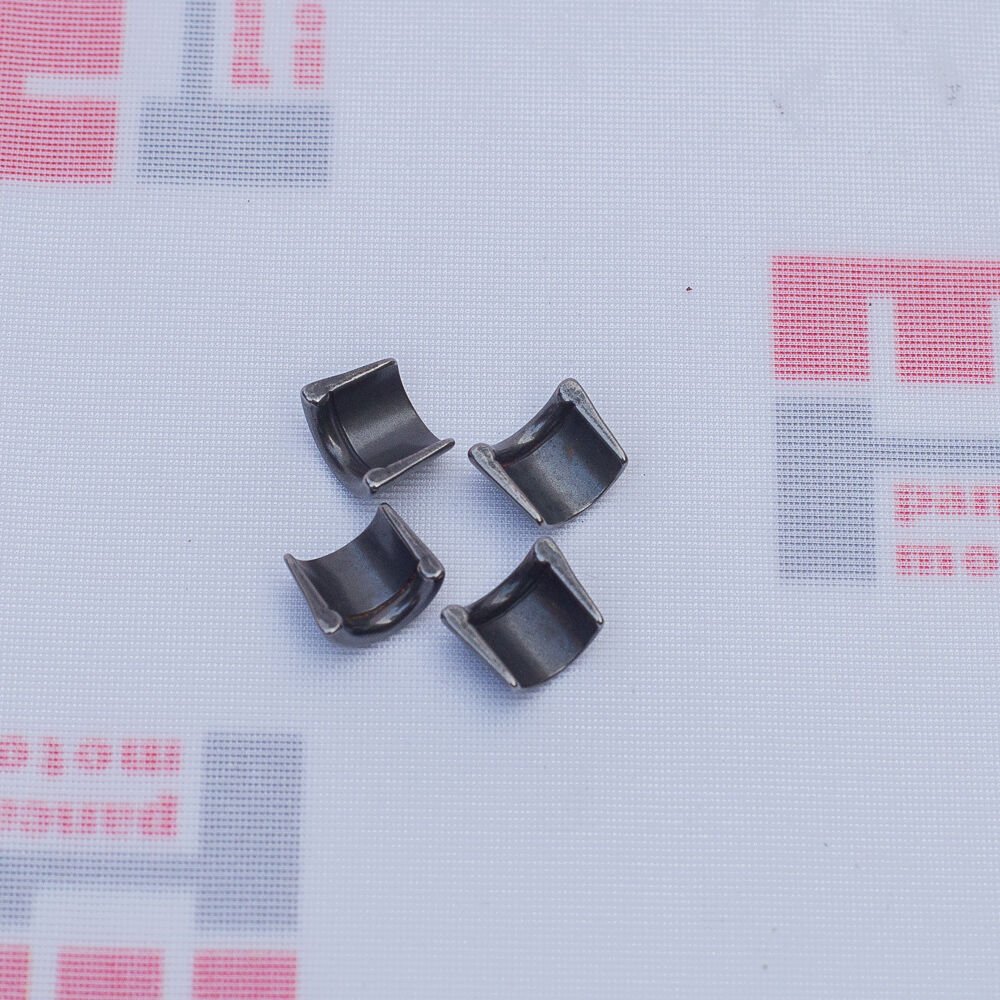 SUPAP (TIRNAĞI) ÇEKİRDEĞİ (108)