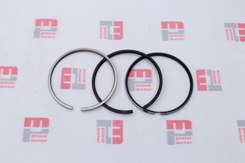 SEGMAN TAKIM (STD) (YAYLI)-(PG89-PG15)