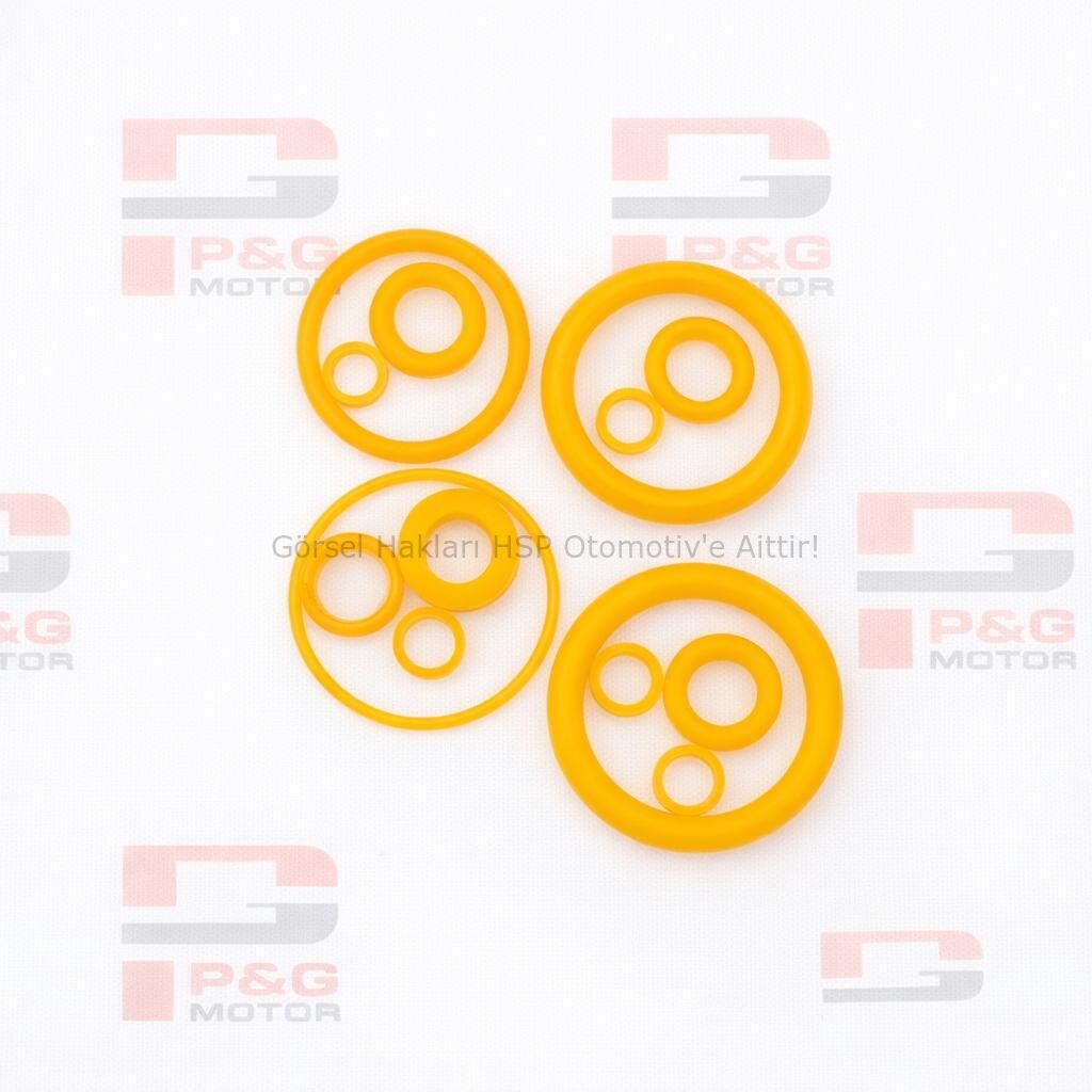 O-RING LASTİK TAMİR TAKIMI (SİLİKONLU SARI) PG89