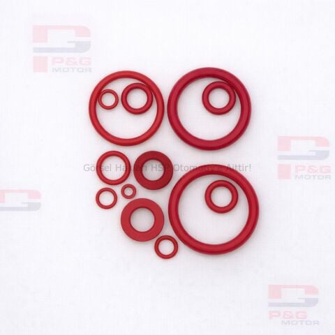 O-RİNG TAKIM (Kırmızı Silikonlu) PG89