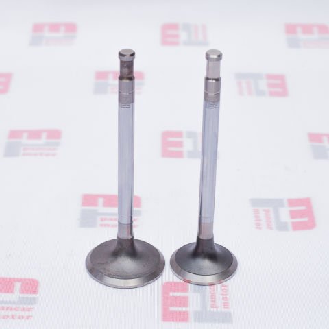 SUPAP TAKIMI (EMME+EGSOZ) (STD) (PG-89)