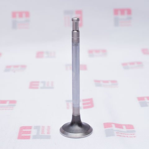 SUPAP TAKIMI (EMME+EGSOZ) (STD) (PG-89)