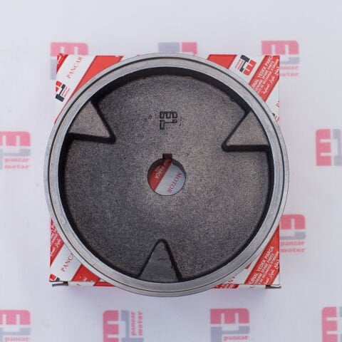 KAPLİN DİŞİ (PG89)-(E.M)