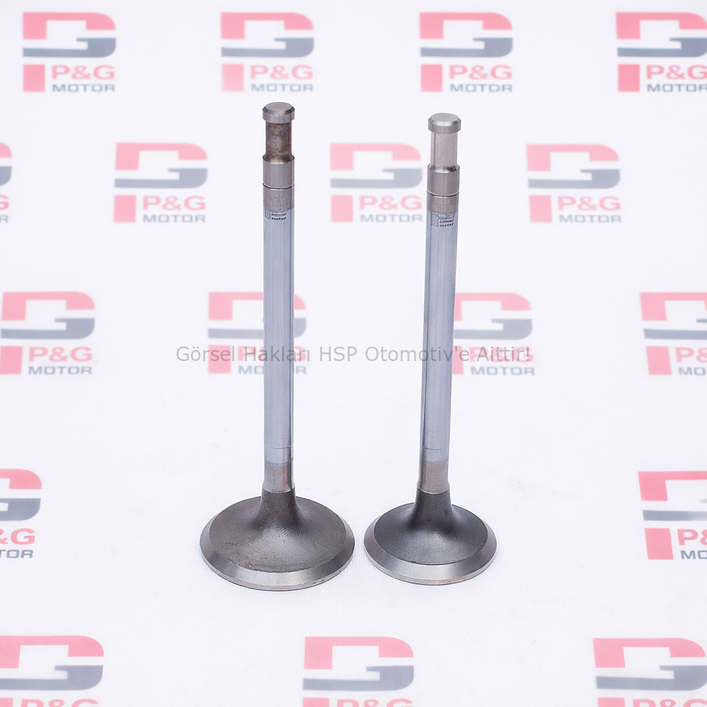 SUPAP TAKIMI (EMME+EGSOZ) (0,50) (PG89)