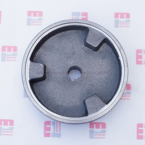 KAPLİN DİŞİ YENİ TİP