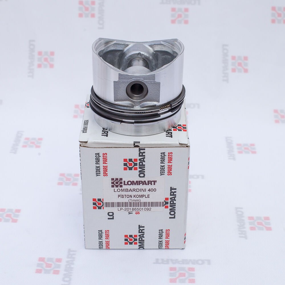 PİSTON+SEGMAN  LDA 400 1,00 mm (LOMPART)