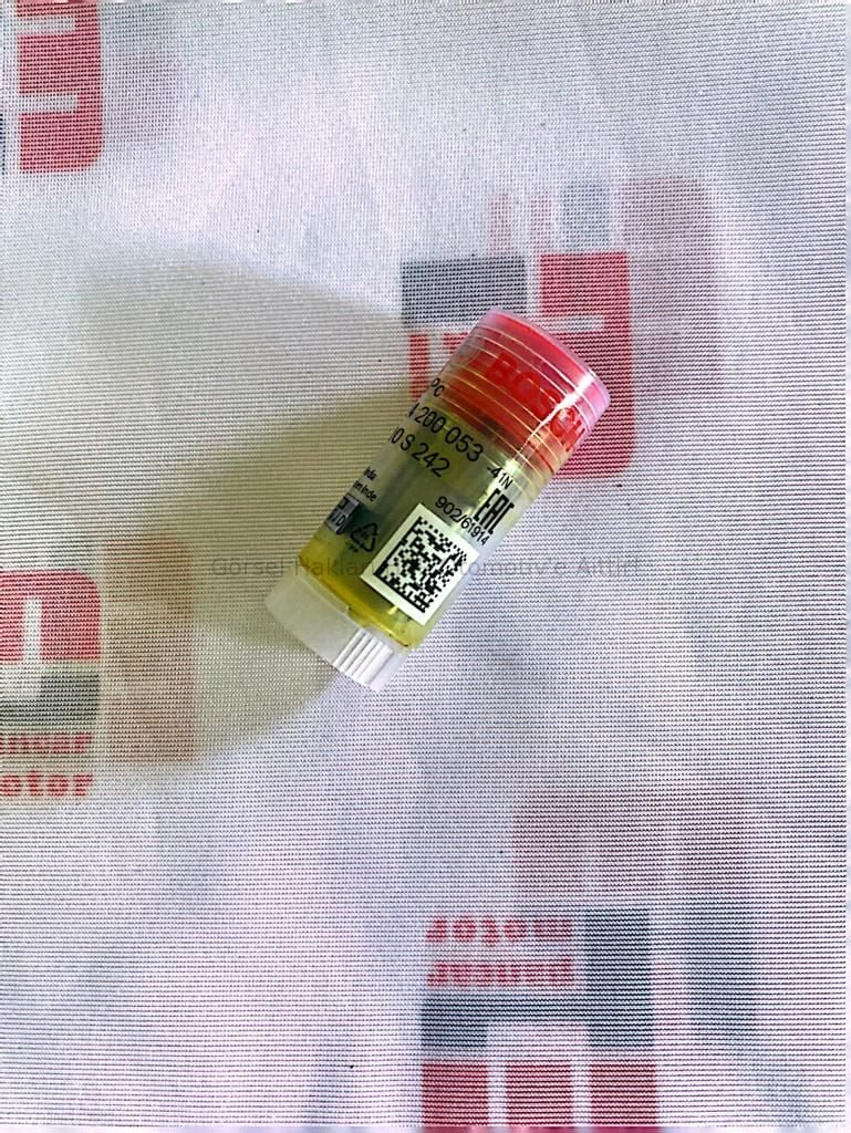 ENJEKTÖR MEMESİ (BOSCH) PG89