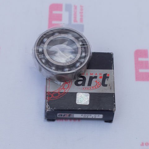 RULMAN 6005