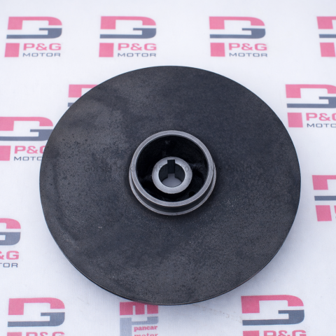 SANTRAFÜJ  FANI (2.5'')