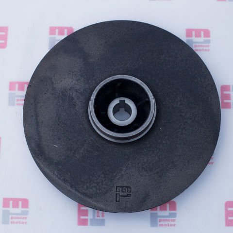 SANTRAFÜJ  FANI (2.5'')