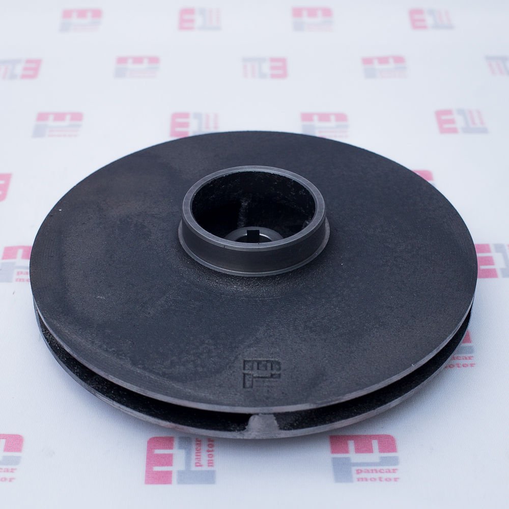 SANTRAFÜJ  FANI (2.5'')