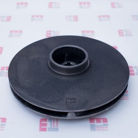 SANTRAFÜJ  FANI (2.5'')