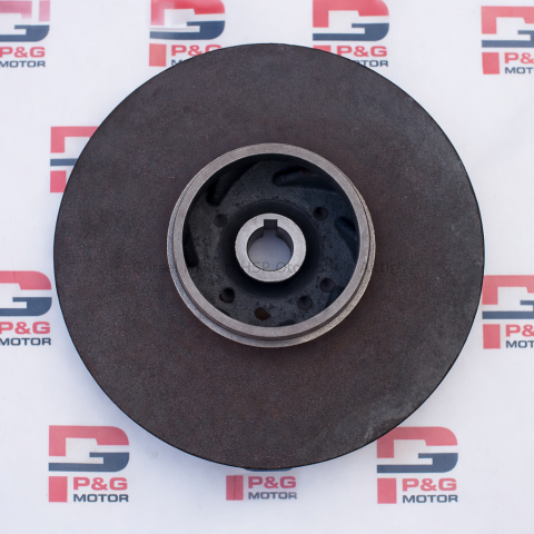 SANTRAFÜJ  FANI (4'')