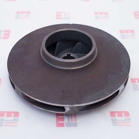 SANTRAFÜJ  FANI (4'')