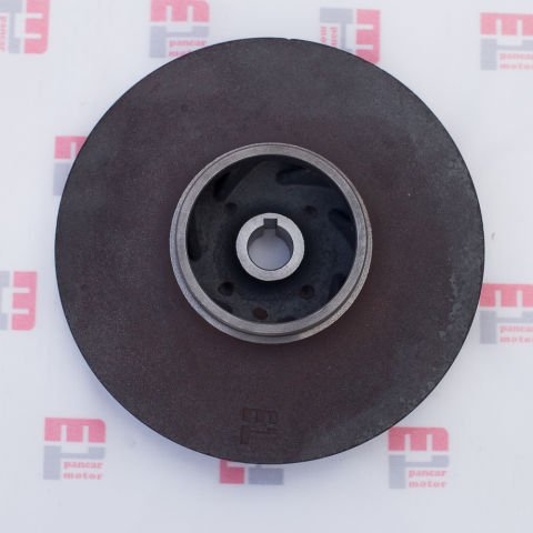 SANTRAFÜJ  FANI (4'')