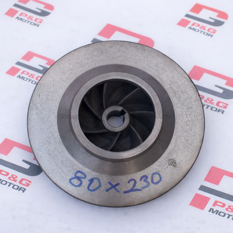 SANTRAFÜJ FANI (80/230)