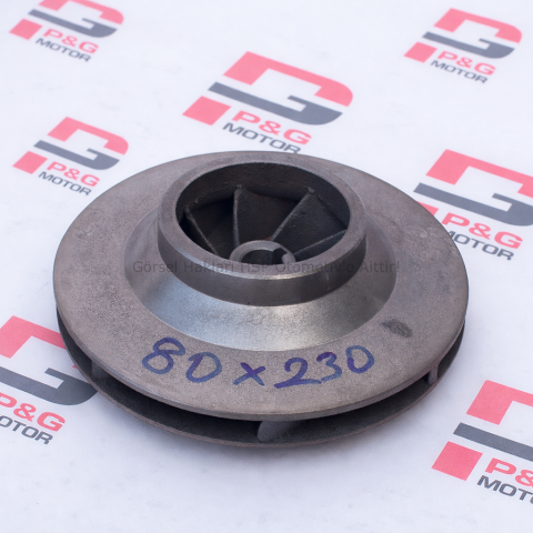 SANTRAFÜJ FANI (80/230)