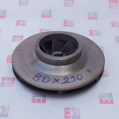 SANTRAFÜJ FANI (80/230)