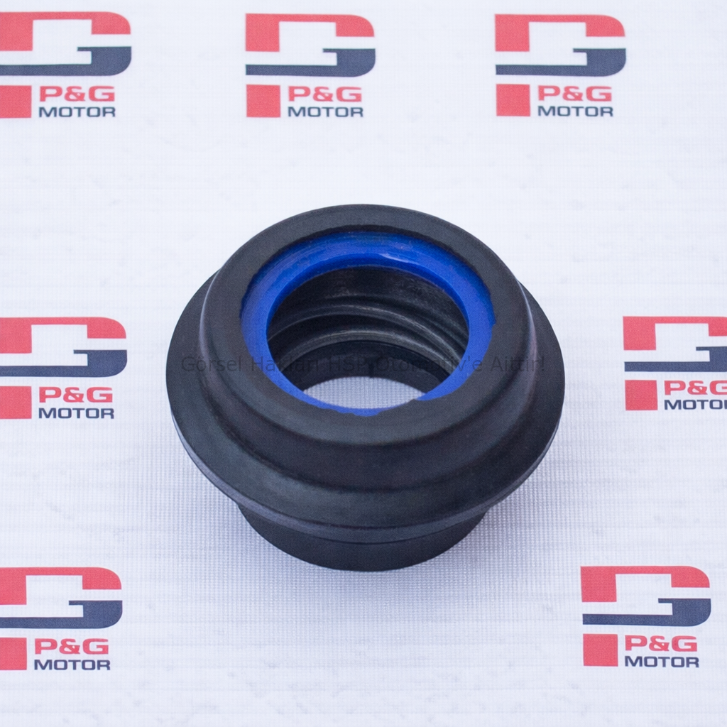 SANTRAFÜJ KÖMÜR YAĞMUR (LOMPART)